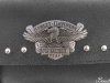 fs_HDlogo