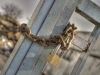 hdr_4