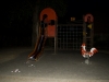 IMGP6150_tn